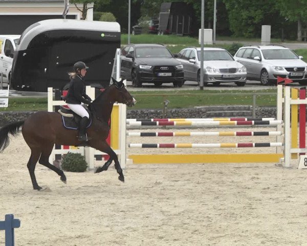 Reitturnier Ingolstadt-Hagau 2019