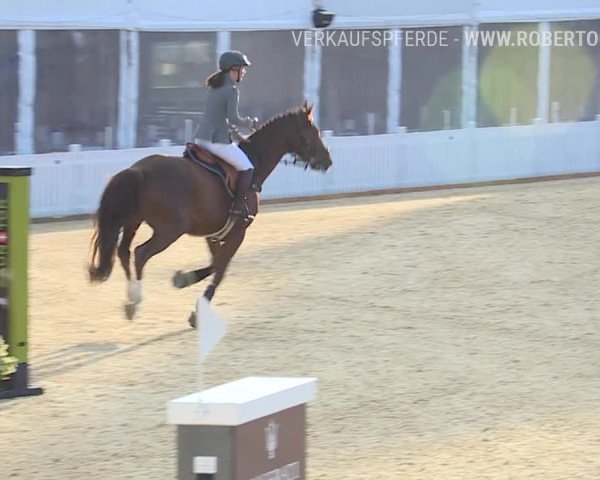 Osterspringen Amriswil 2019