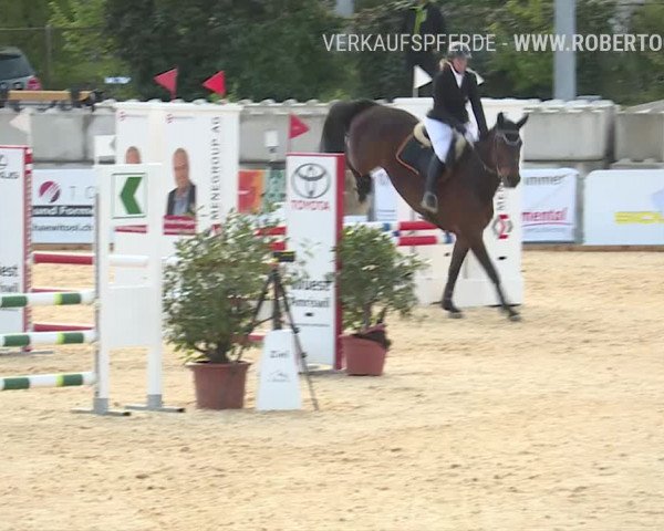 Osterspringen Amriswil 2019