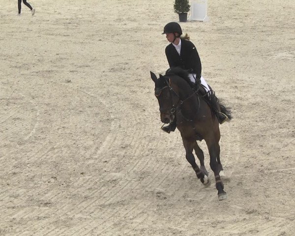 Reitturnier Ingolstadt-Hagau 2019