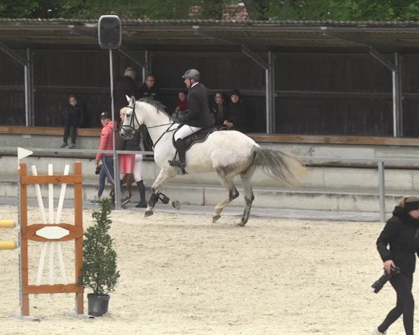 Reitturnier Ingolstadt-Hagau 2019