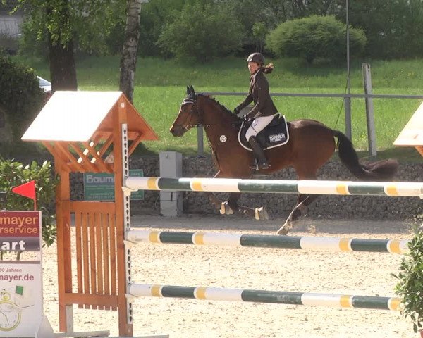 Reitturnier Ingolstadt-Hagau 2019