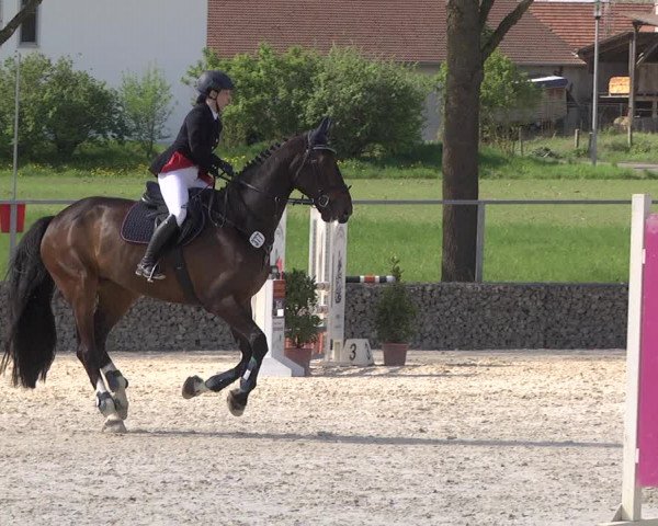 Reitturnier Ingolstadt-Hagau 2019