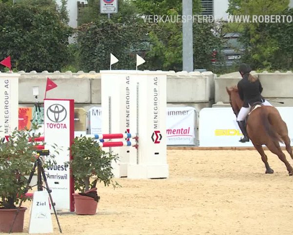Osterspringen Amriswil 2019