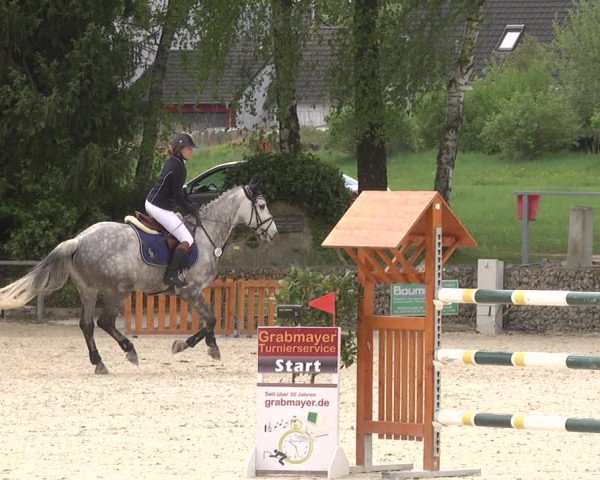 Reitturnier Ingolstadt-Hagau 2019