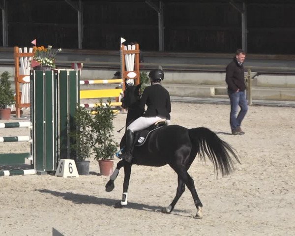 Reitturnier Ingolstadt-Hagau 2019
