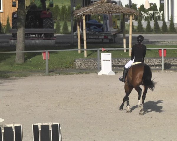 Reitturnier Ingolstadt-Hagau 2019