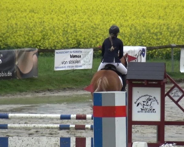 Reitturnier Xanten - Moermter 2019