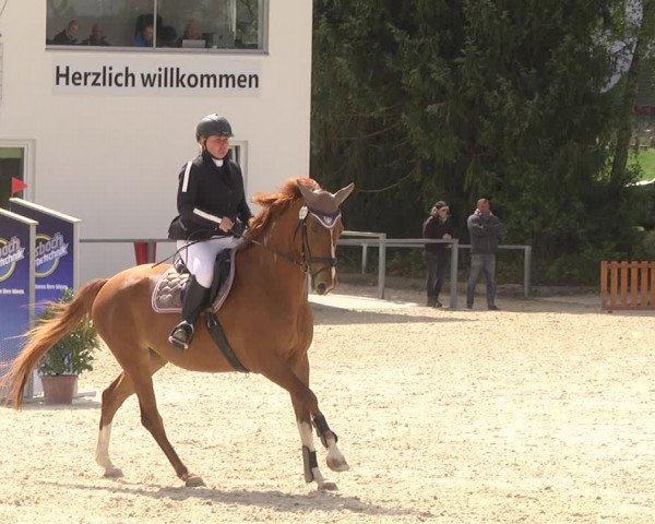 Reitturnier Ingolstadt-Hagau 2019