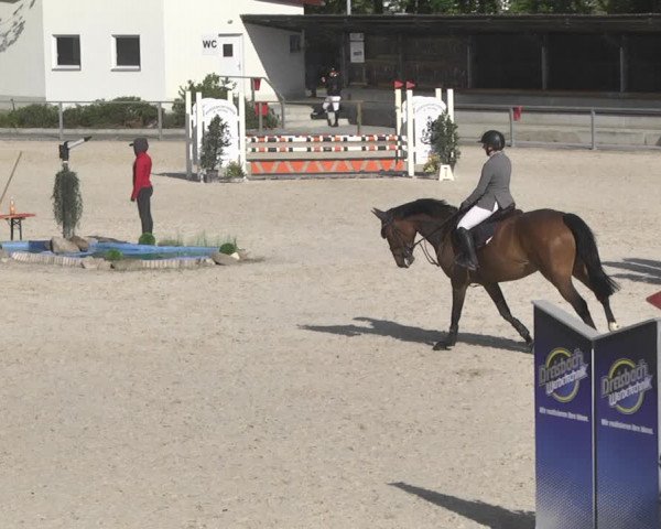 Reitturnier Ingolstadt-Hagau 2019