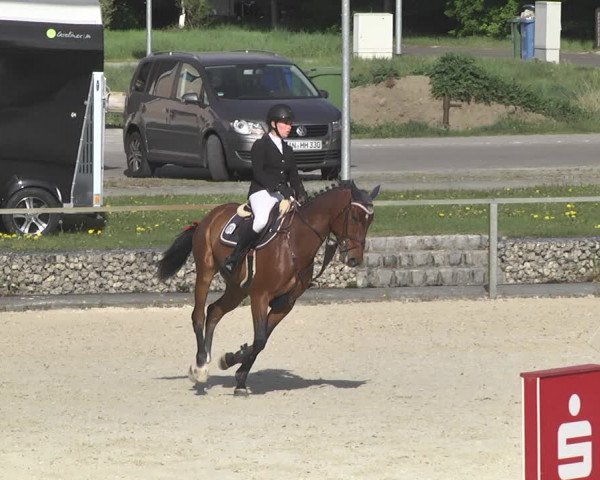 Reitturnier Ingolstadt-Hagau 2019