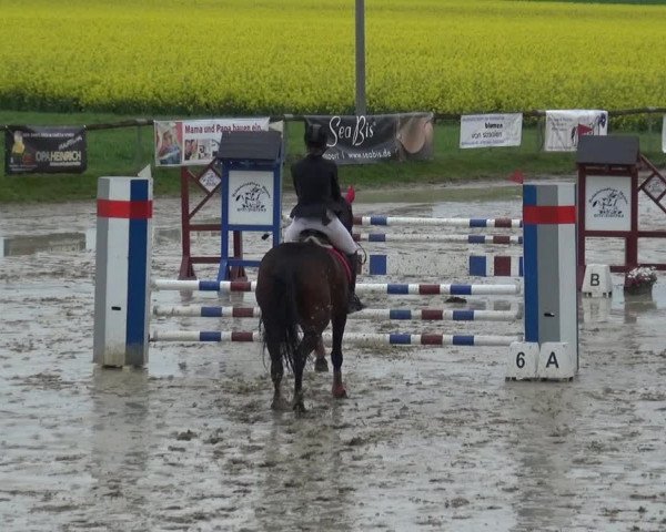 Reitturnier Xanten - Moermter 2019