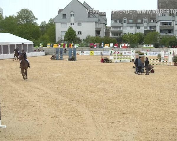 Osterspringen Amriswil 2019