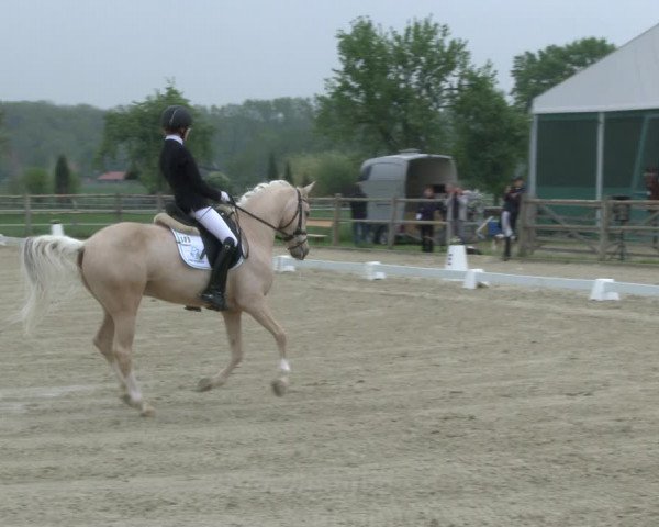 Reitturnier Warendorf, Reitstall am Rothenbach 2019