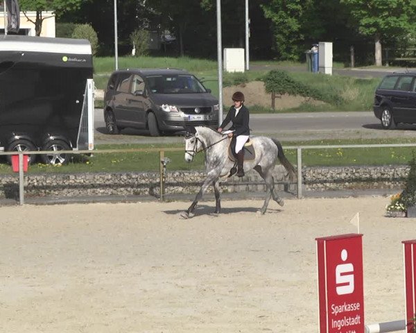Reitturnier Ingolstadt-Hagau 2019