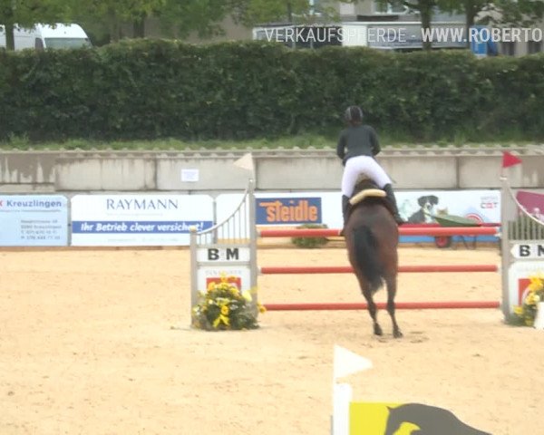 Osterspringen Amriswil 2019