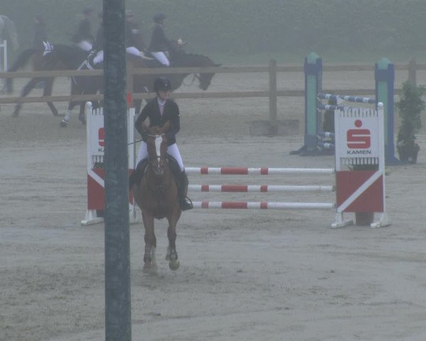 Reitturnier Kamen 2019