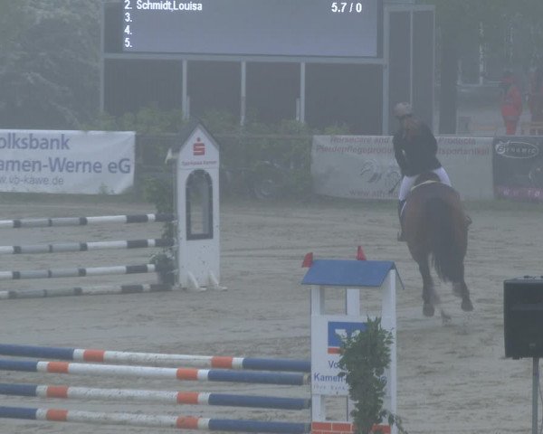 Reitturnier Kamen 2019