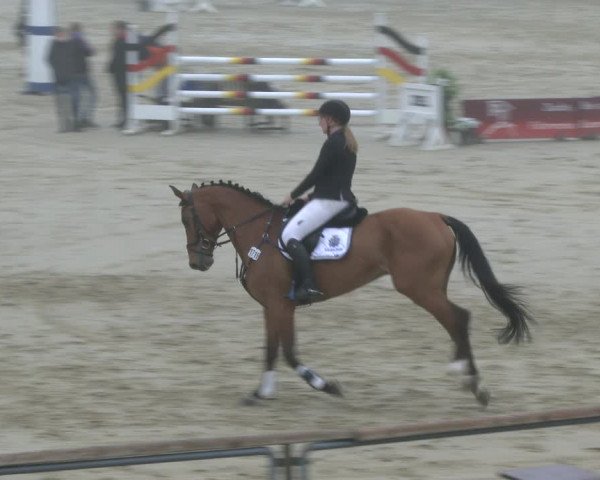 Reitturnier Kamen 2019