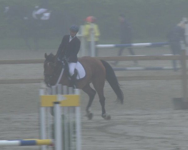 Reitturnier Kamen 2019
