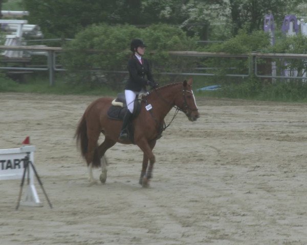 Reitturnier Kamen 2019
