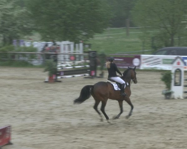 Reitturnier Kamen 2019