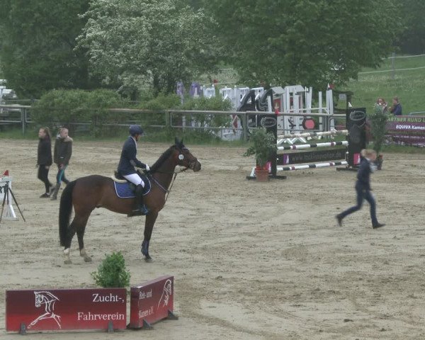 Reitturnier Kamen 2019