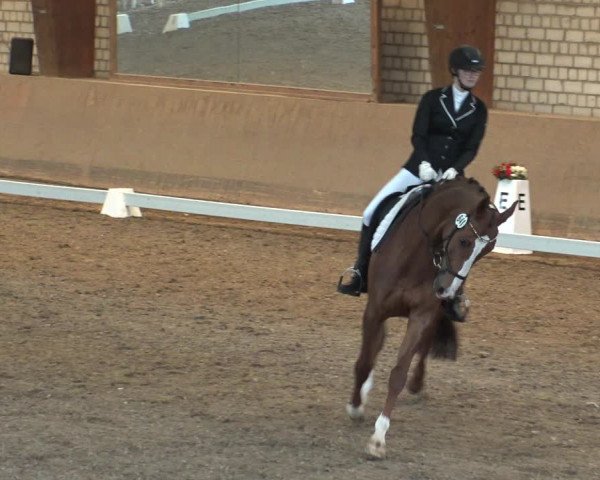 Reitturnier Kamen 2019