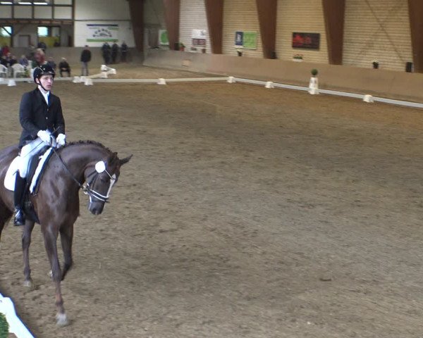 Reitturnier Kamen 2019