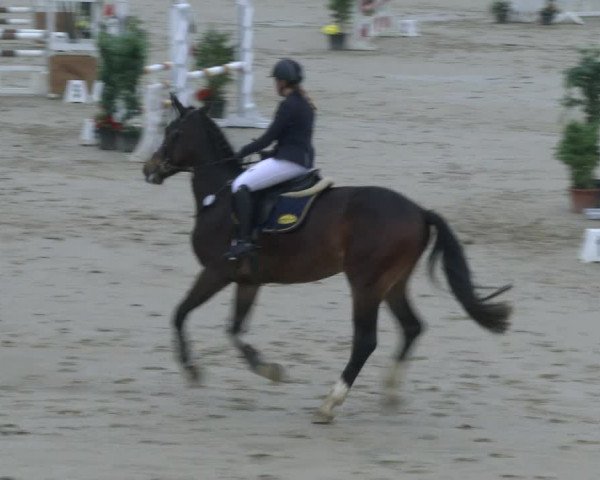 Reitturnier Kamen 2019