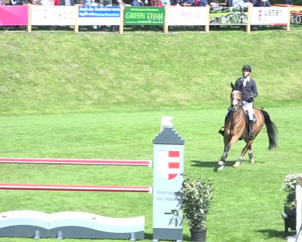 Reitturnier Uster 2019