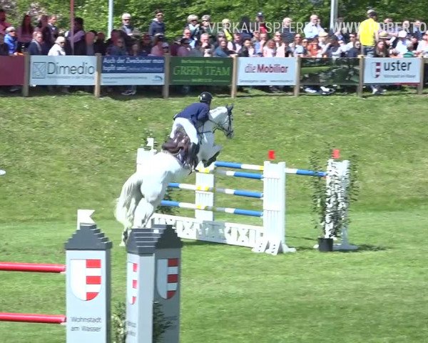 Reitturnier Uster 2019