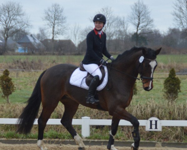 jumper Ewita 5 (Holsteiner, 2012, from Catoo)