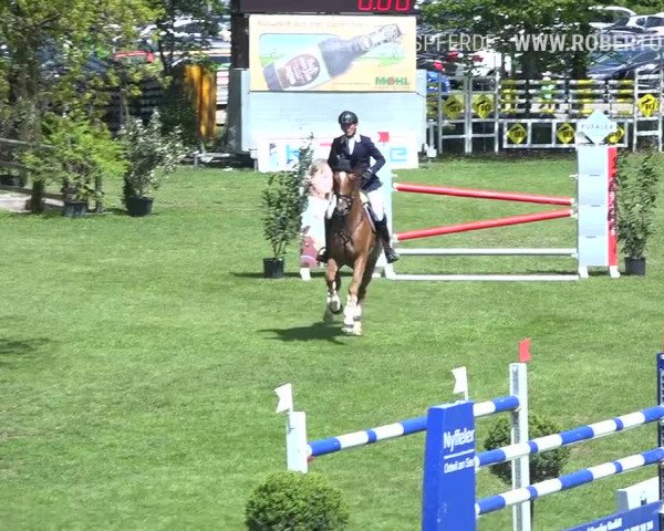 Reitturnier Uster 2019
