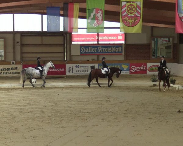 Steinhagen Classics 2021