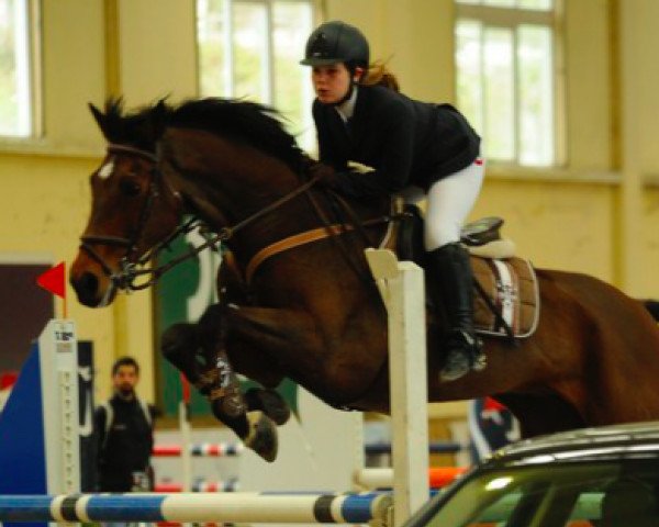 horse Karmen (Holsteiner, 1998, from Candillo Z)