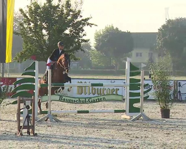 Süddeutsche Ponymeisterschaften Rot am See- Musdorf 2021
