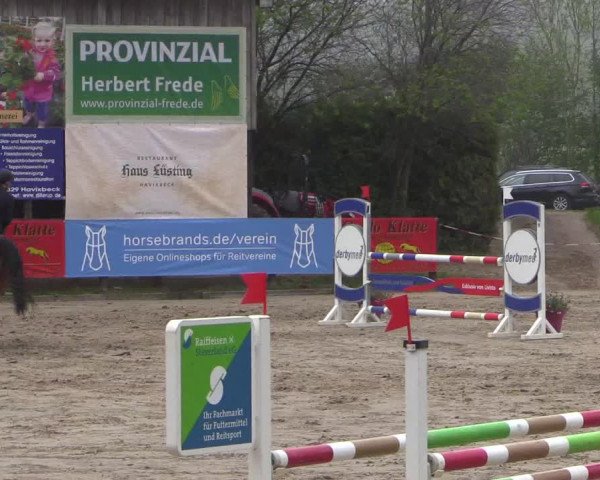 Reitturnier Havixbeck 2019