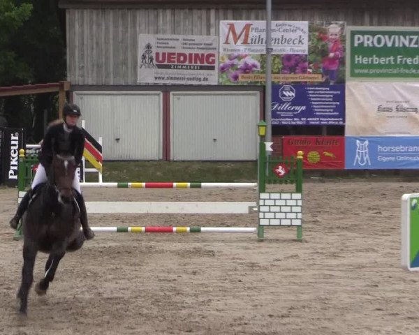 Reitturnier Havixbeck 2019