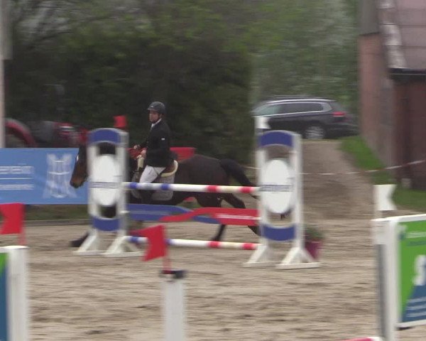 Reitturnier Havixbeck 2019