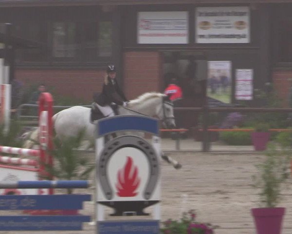 Reitturnier Havixbeck 2019