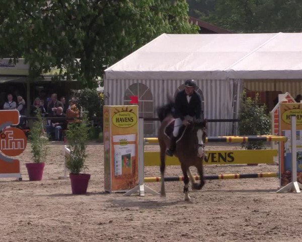 Reitturnier Havixbeck 2019