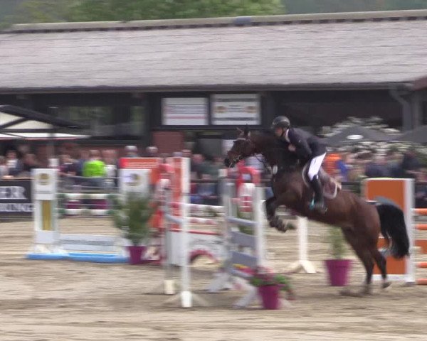 Reitturnier Havixbeck 2019