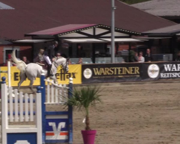 Reitturnier Havixbeck 2019