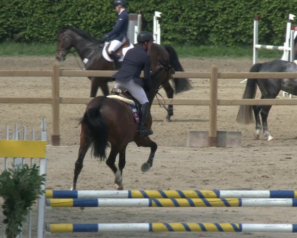 Reitturnier Kamen 2019