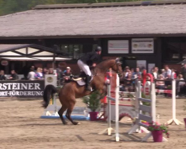 Reitturnier Havixbeck 2019