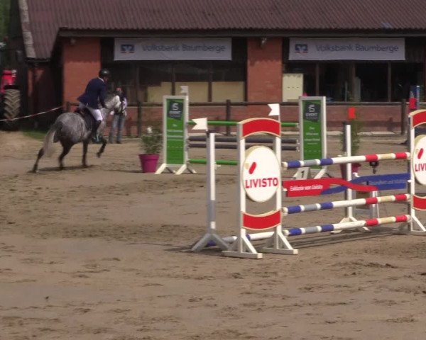 Reitturnier Havixbeck 2019