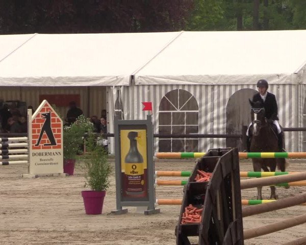 Reitturnier Havixbeck 2019