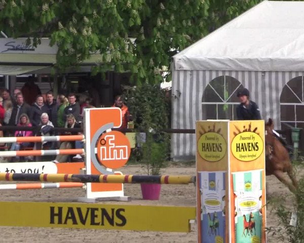 Reitturnier Havixbeck 2019