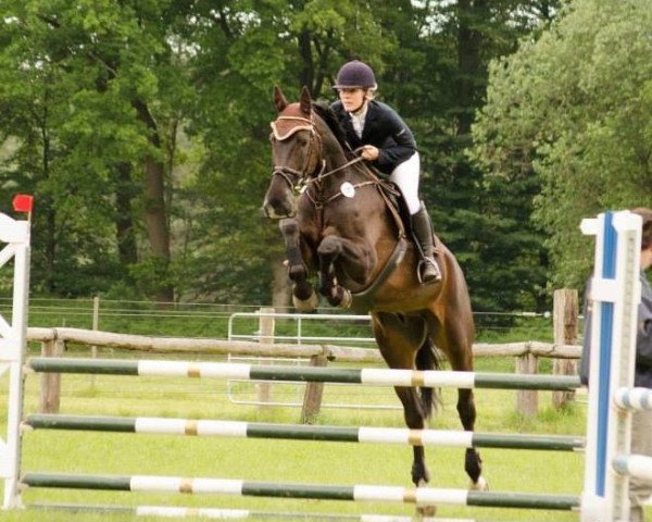 horse Finn (Hanoverian, 2003, from For Keeps)